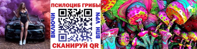 Псилоцибиновые грибы Cubensis  мега ссылка  Маркс 